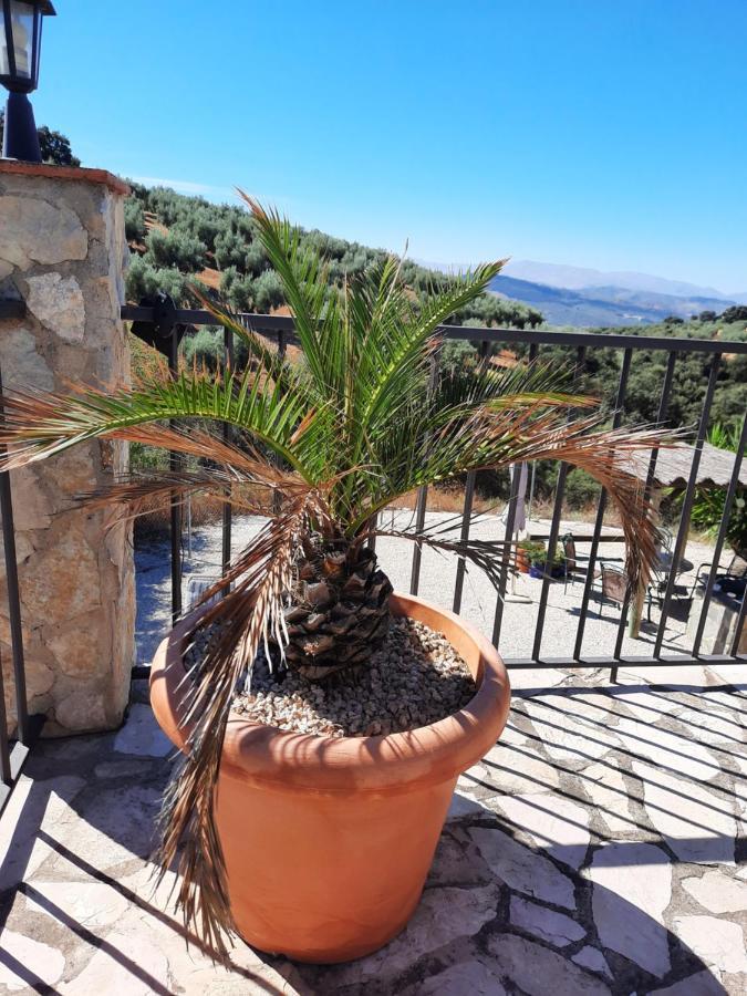 Hacienda La Buena Vida B&B En Appartementen Casita Almendas Ла-Каррера-де-ла-Винья Экстерьер фото