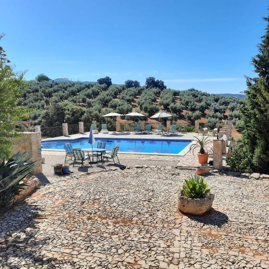 Hacienda La Buena Vida B&B En Appartementen Casita Almendas Ла-Каррера-де-ла-Винья Экстерьер фото