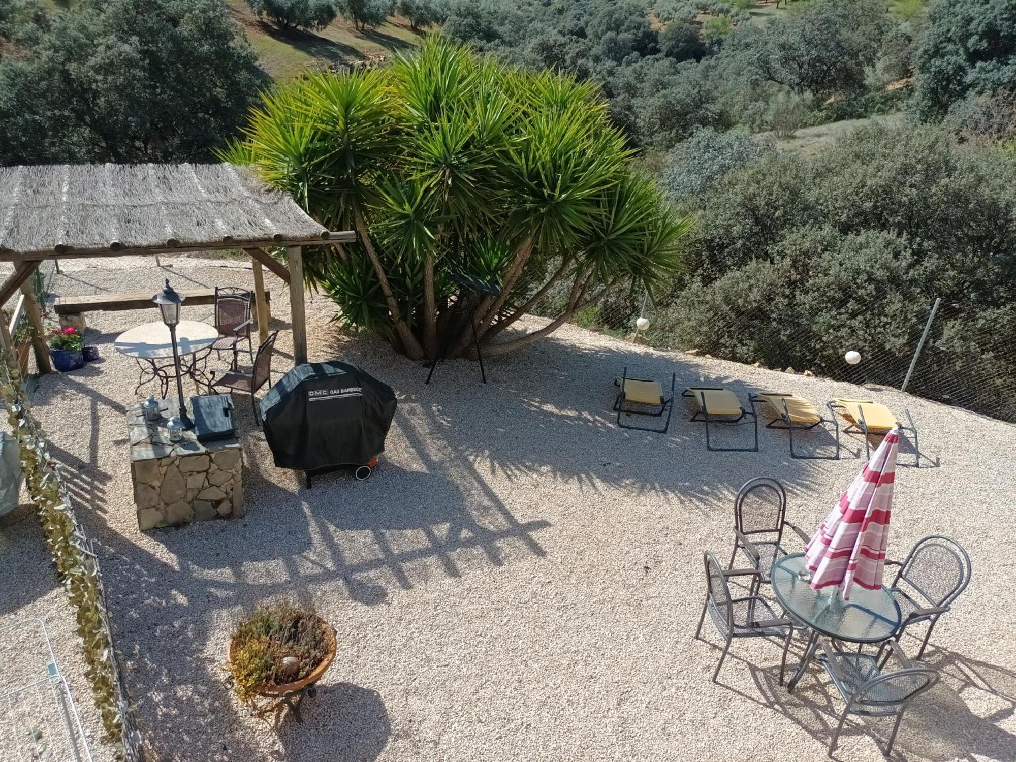 Hacienda La Buena Vida B&B En Appartementen Casita Almendas Ла-Каррера-де-ла-Винья Экстерьер фото